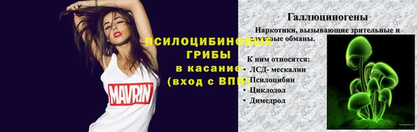 соль ск Алзамай