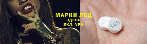 соль ск Алзамай