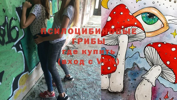 метадон Алексин