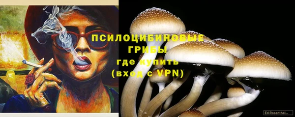 соль ск Алзамай