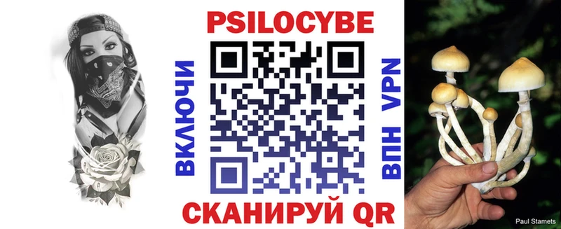 Купить где  Алдан  Псилоцибиновые грибы MAGIC MUSHROOMS 